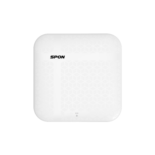 Wireless Audio Access Point